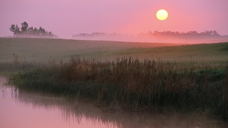 Sunrise over Marsh — Pink, Serene, Photograph