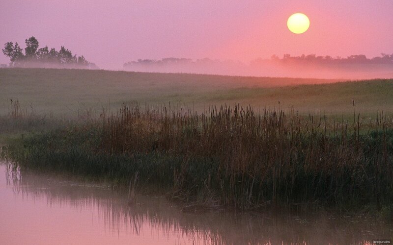 Sunrise over Marsh — Pink, Serene