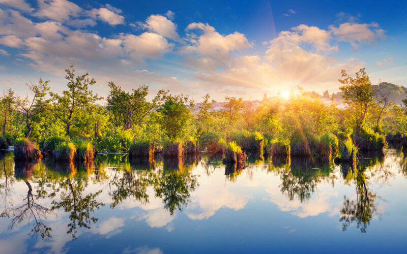 Sunrise over Marshland — Blue