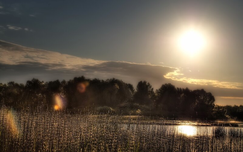 Sunrise over Marshland — Gold