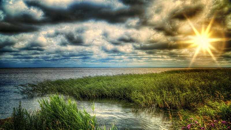 Sunrise over Marshland — Green, Dramatic