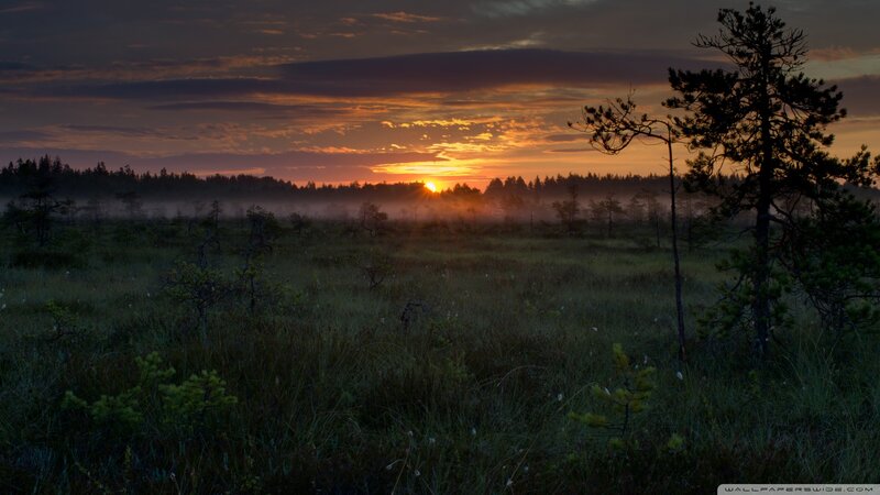 Sunrise over Marshland — Orange, Serene