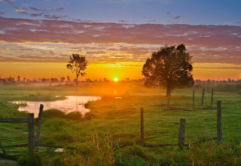 Sunrise over Marshland — Orange