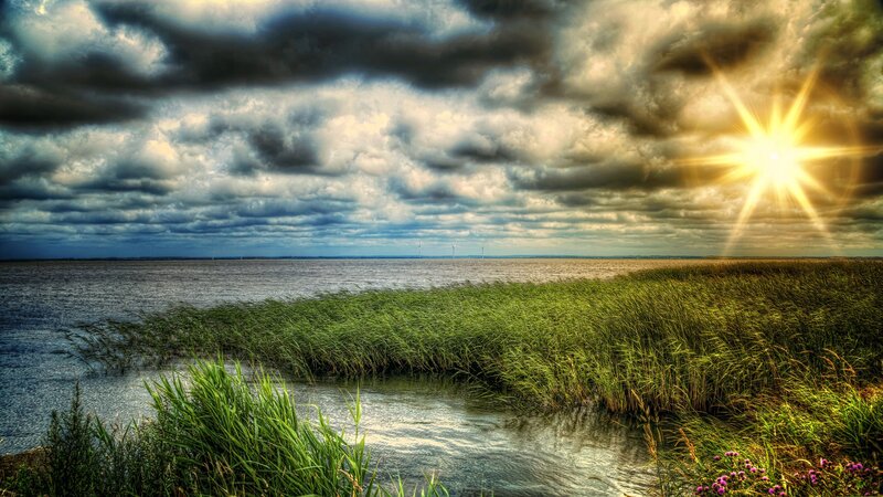Sunrise over marshland