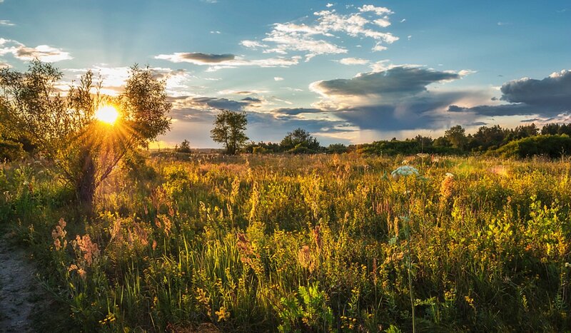 Sunrise over Meadow — Blue