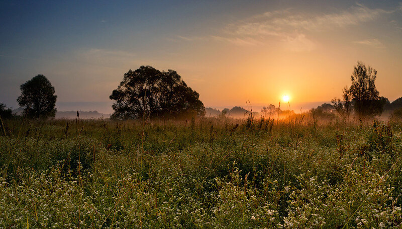 Sunrise over Meadow — Orange, Serene, Photograph