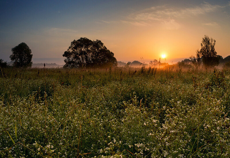 Sunrise over Meadow — Orange, Serene