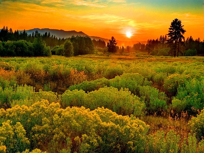 Sunrise over Meadow — Orange