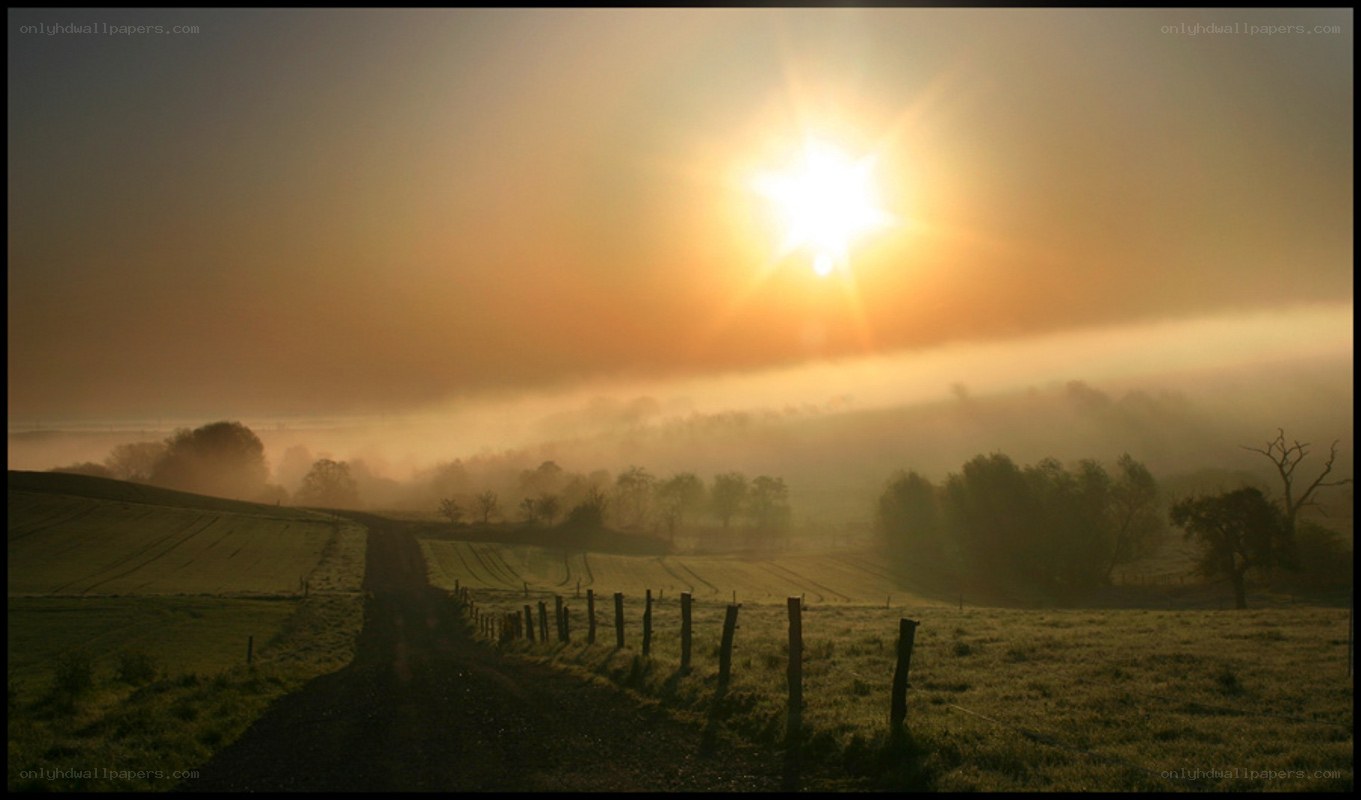 Sunrise over misty countryside