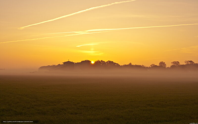 Sunrise over misty field