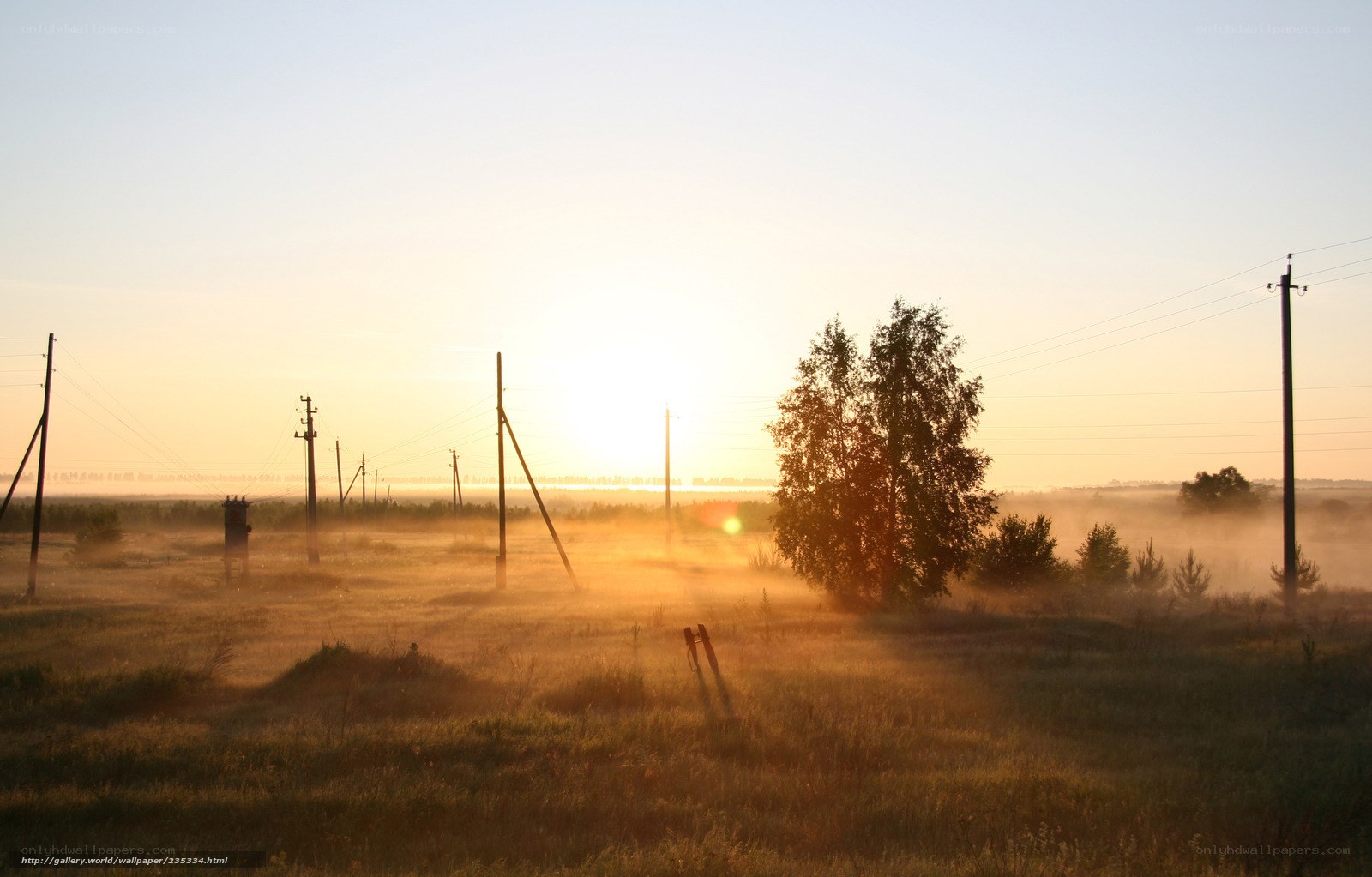 Sunrise over misty field