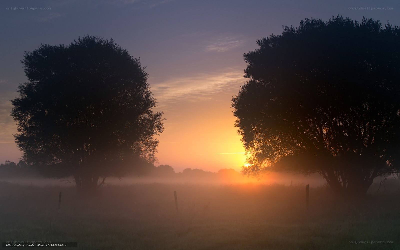 Sunrise over misty field