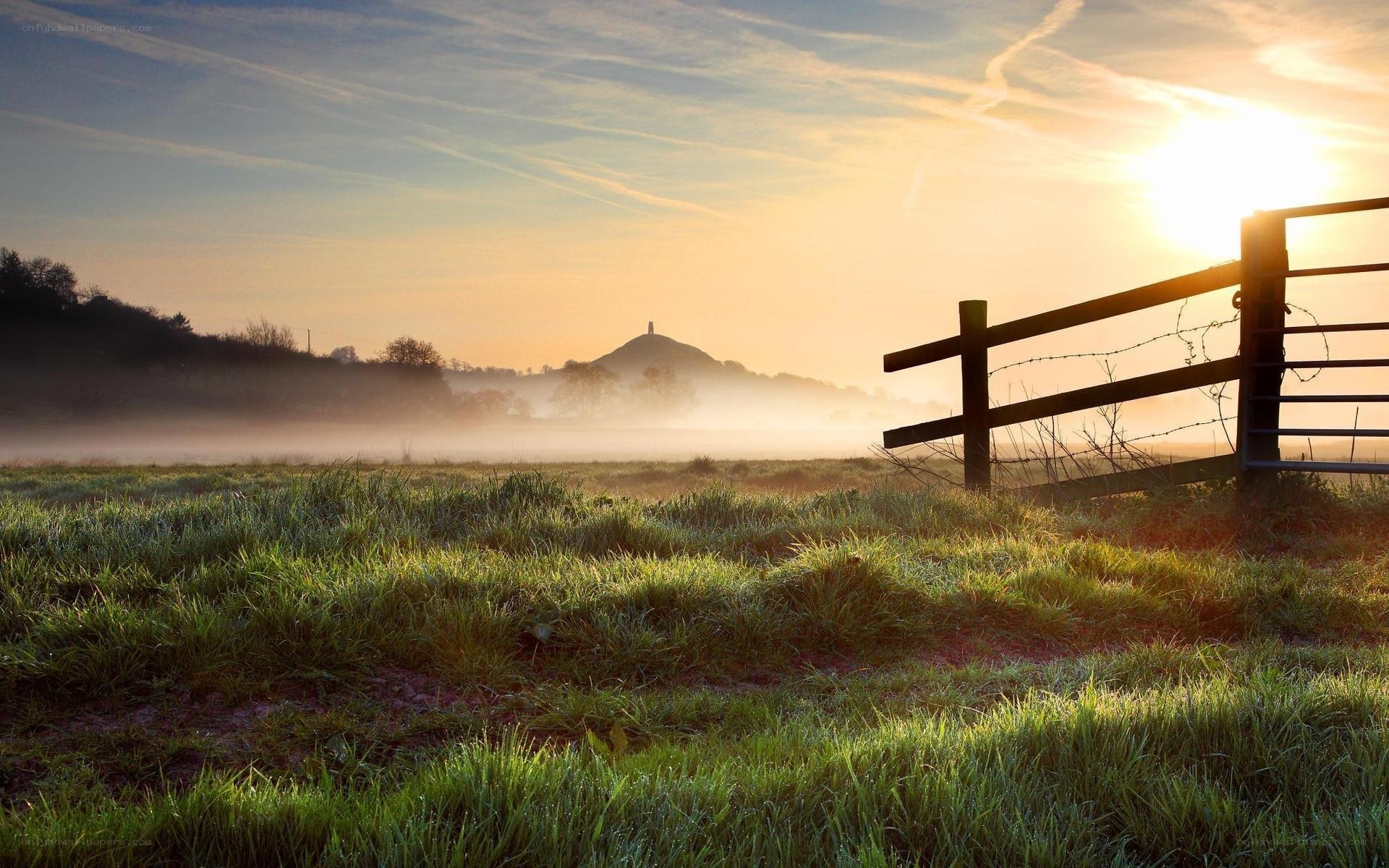 Sunrise over misty field
