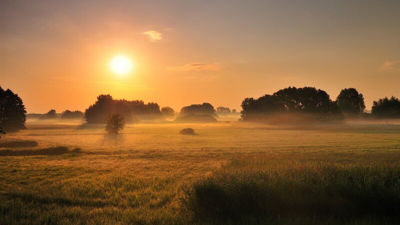 Sunrise over misty field