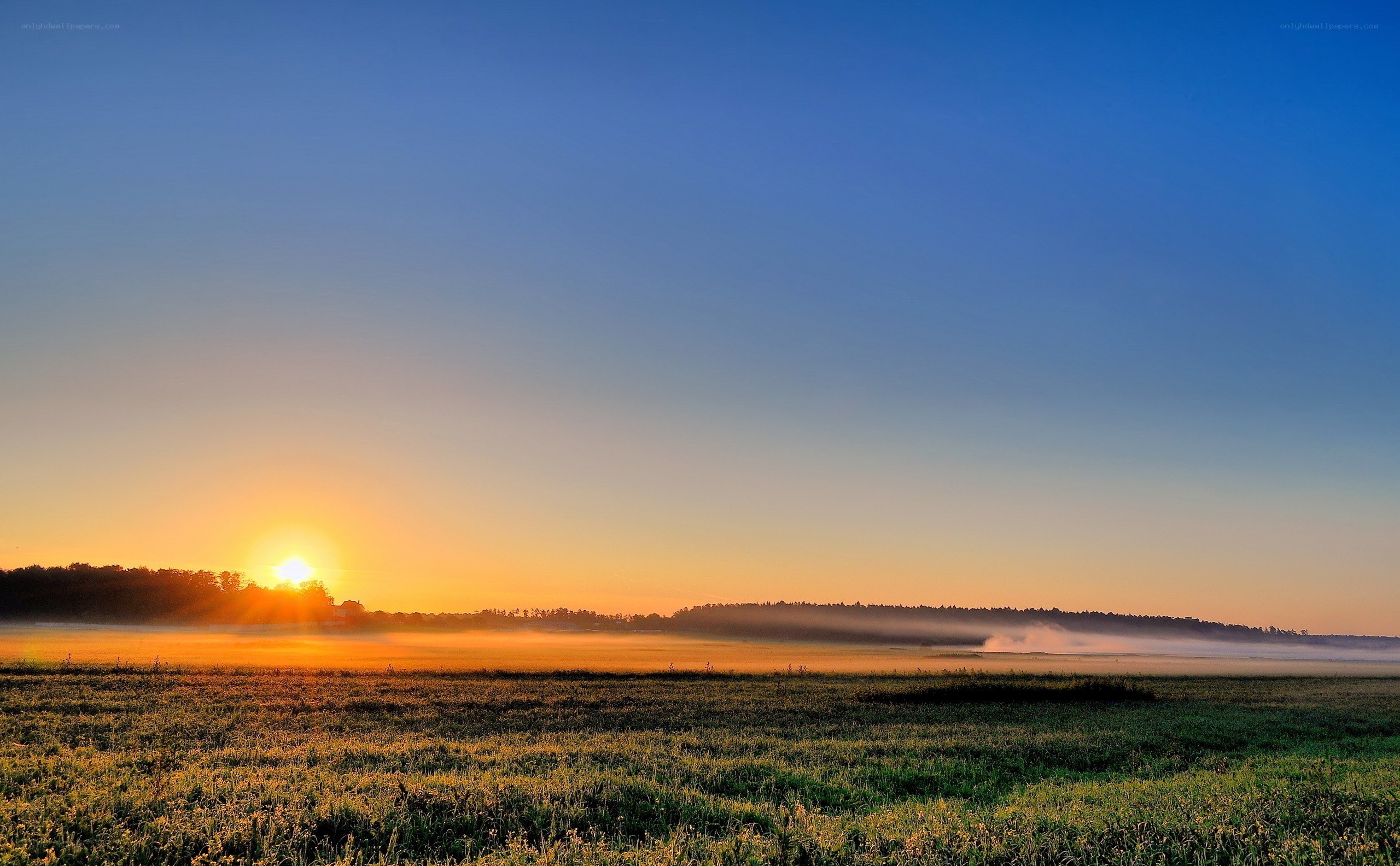 Sunrise over misty field