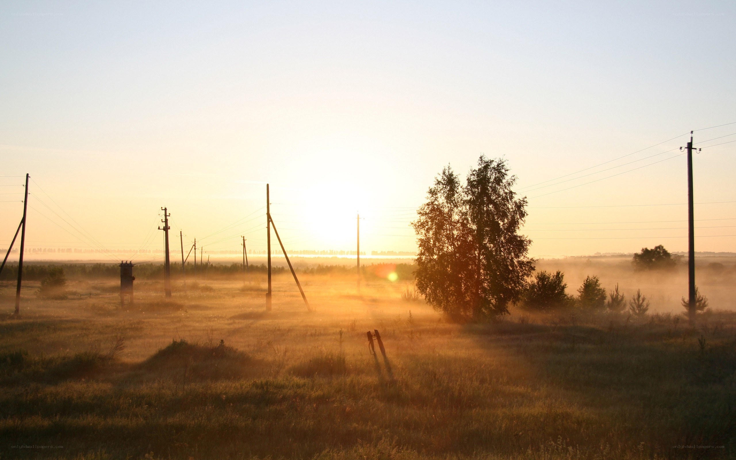 Sunrise over misty field