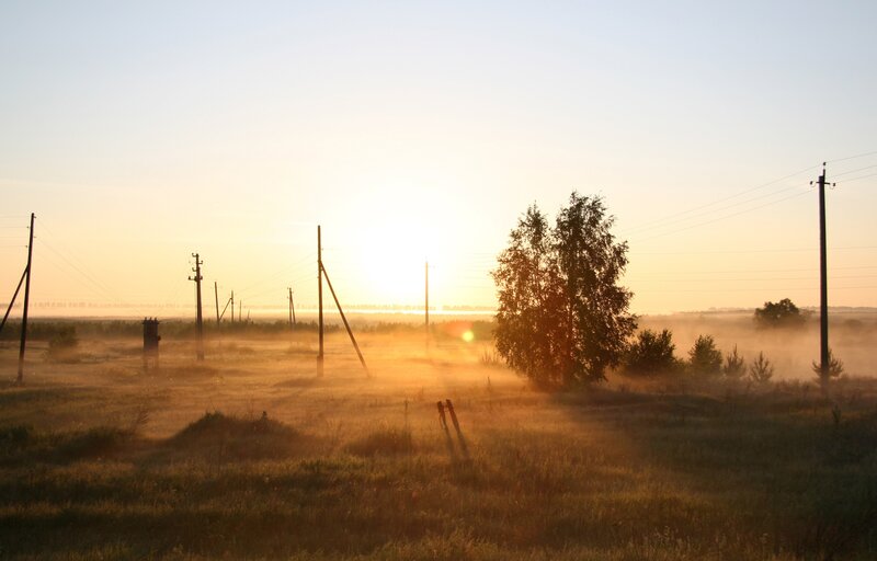 Sunrise over misty field