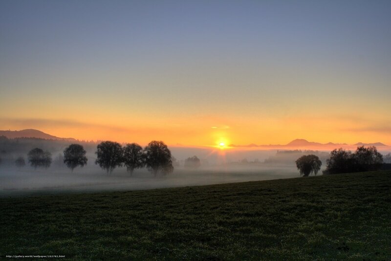 Sunrise over misty field