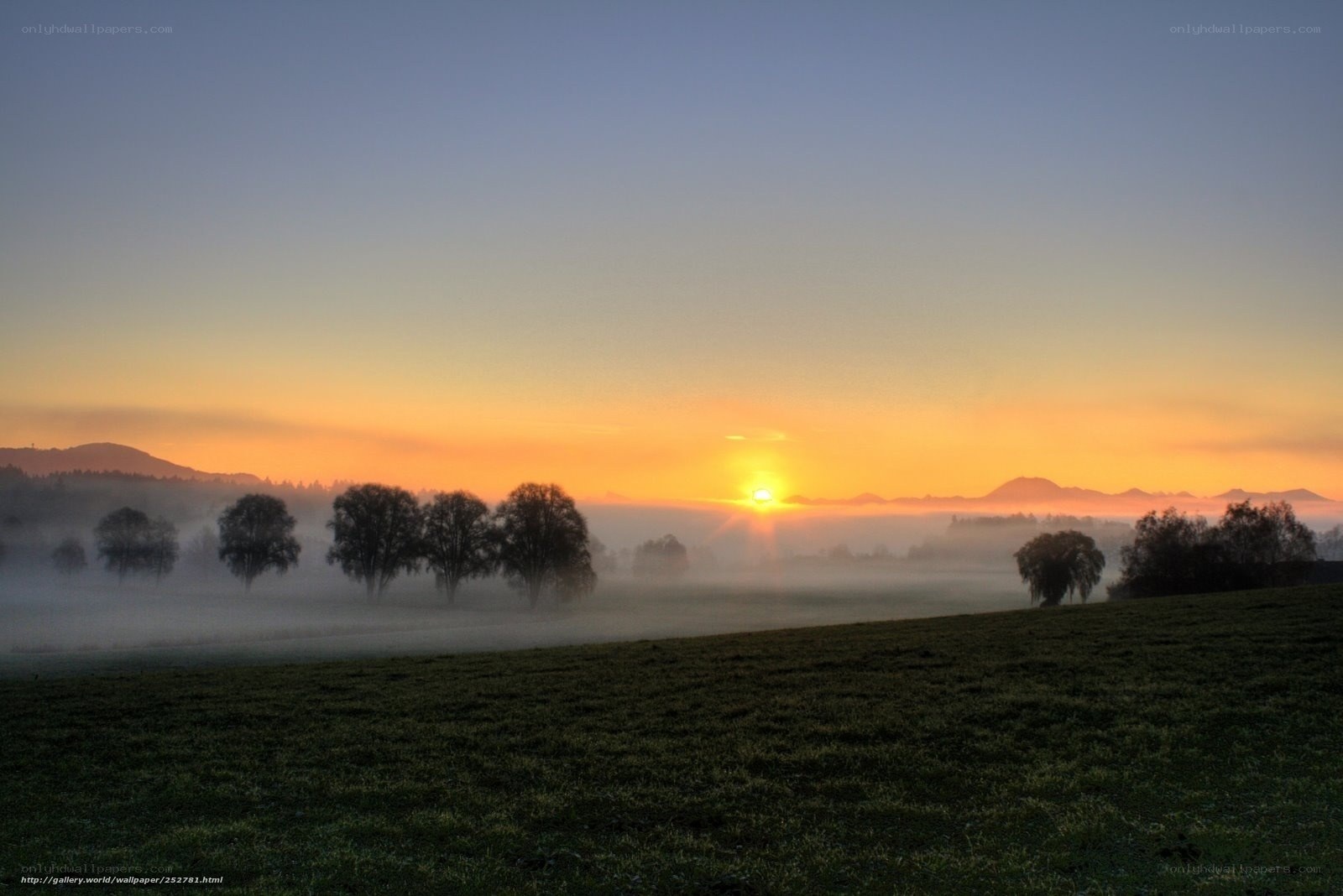 Sunrise over misty field