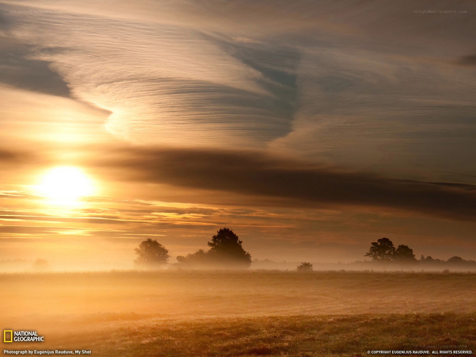 Sunrise over misty field