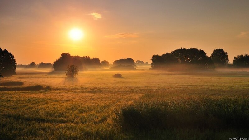 Sunrise over misty field
