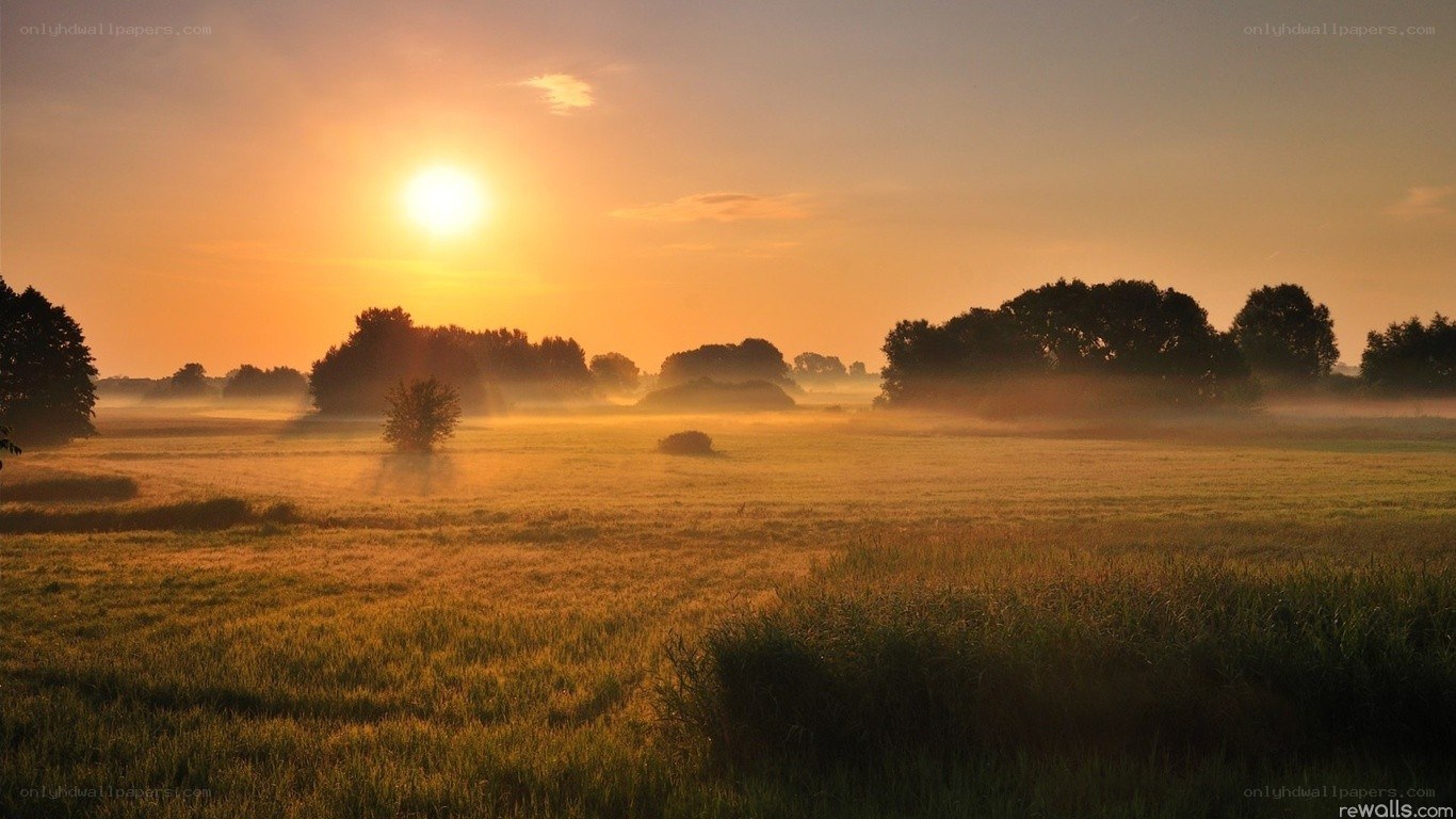 Sunrise over misty field