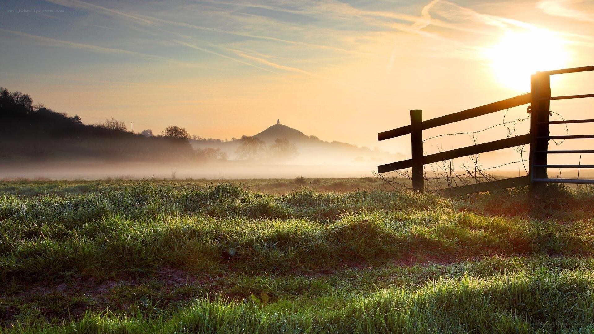 Sunrise over misty field