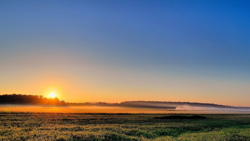 Sunrise over misty field