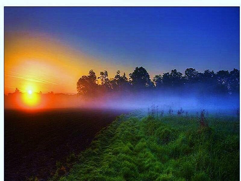Sunrise over misty field