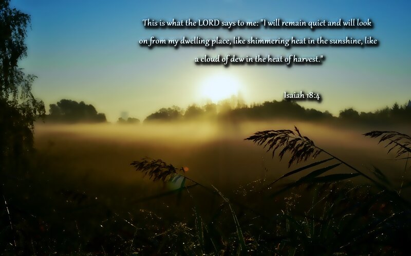 Sunrise over Misty Field — Blue