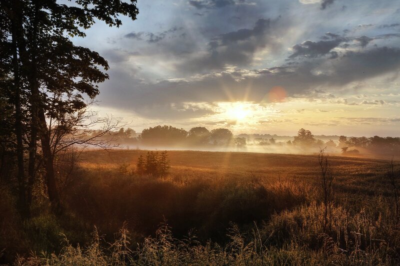Sunrise over Misty Field — Gold, Serene