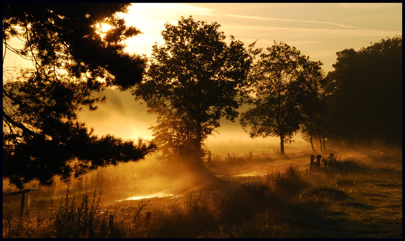 Sunrise over Misty Field — Gold