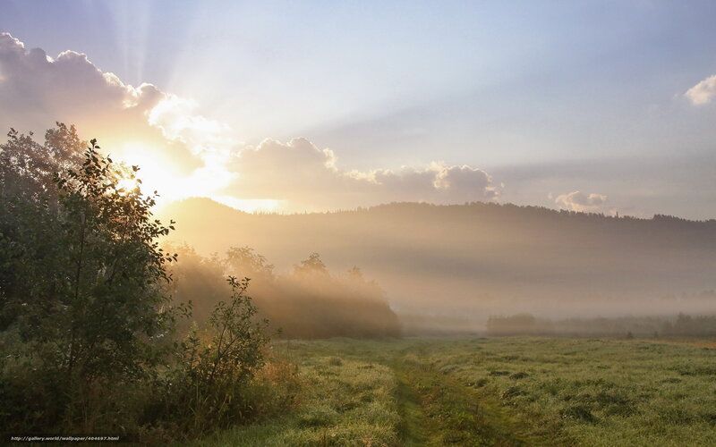 Sunrise over Misty Field — Green, Serene, Morning, Photograph, Sun