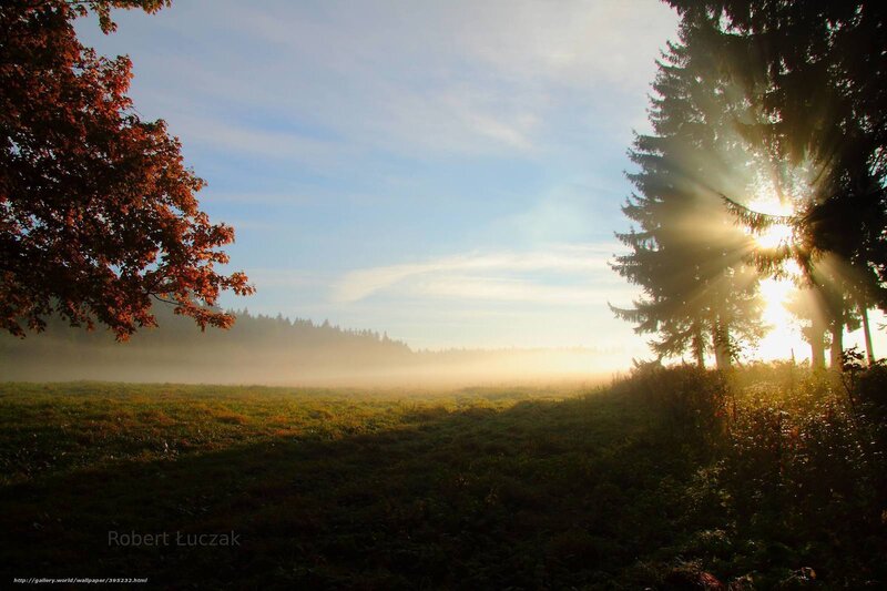 Sunrise over Misty Field — Green, Serene, Morning, Photograph
