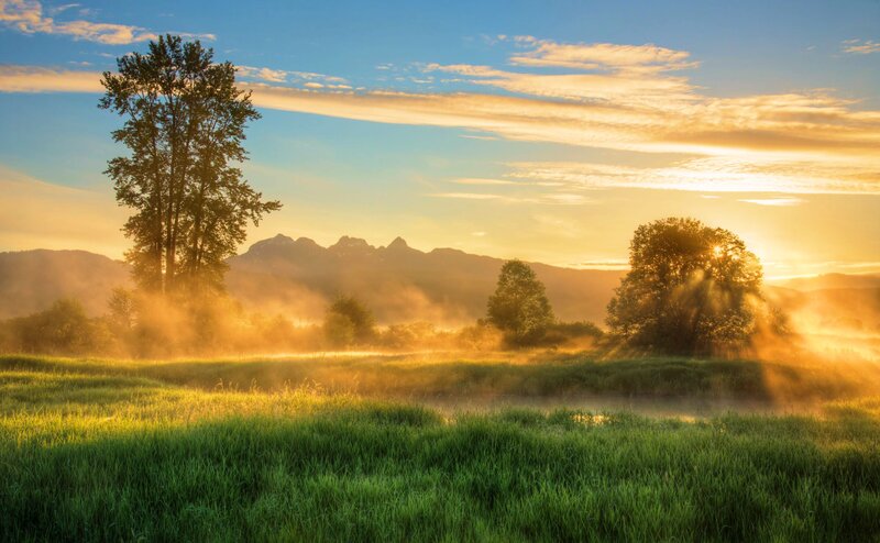 Sunrise over Misty Field — Green, Serene