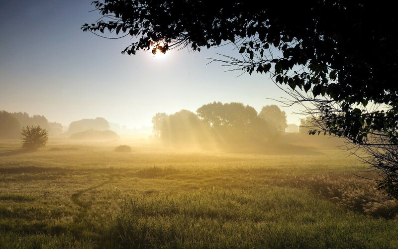 Sunrise over Misty Field — Green