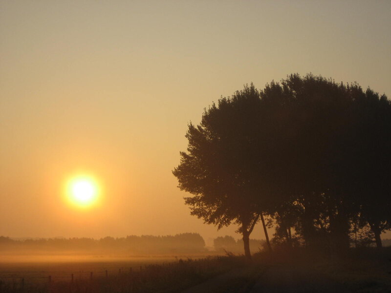 Sunrise over Misty Field — Orange, Serene, Photograph