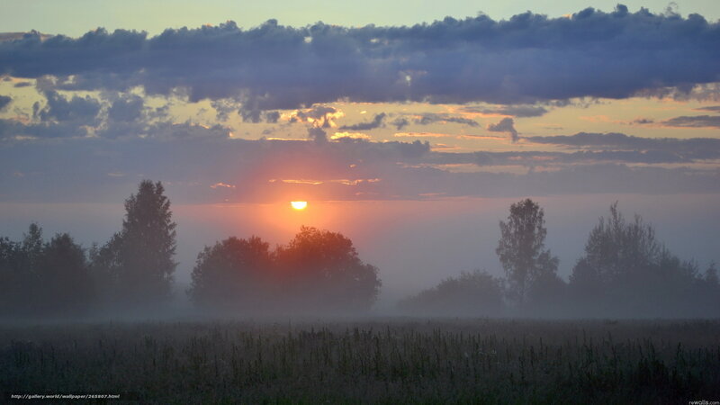 Sunrise over Misty Field — Orange, Serene, Photograph, Trees, Clouds