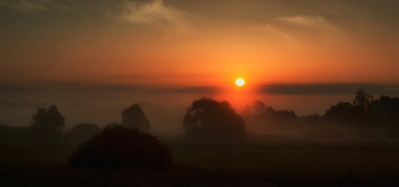 Sunrise over Misty Field — Orange, Serene, Photograph, Trees, Fog