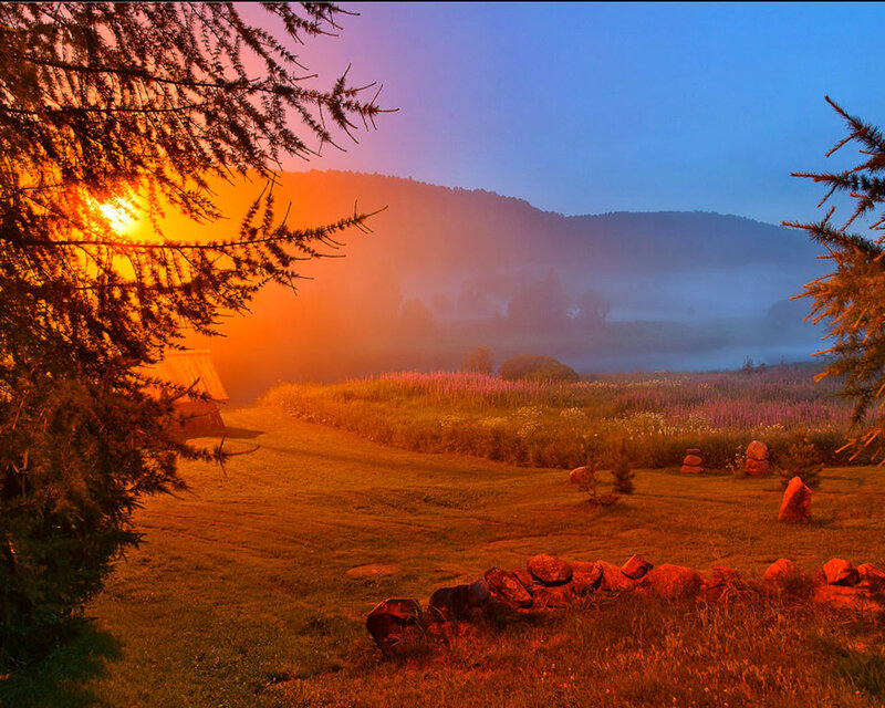 Sunrise over Misty Field — Orange, Serene, Photograph, Trees