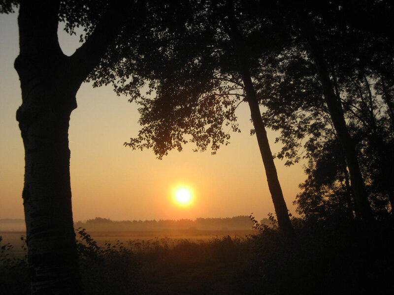 Sunrise over Misty Field — Orange