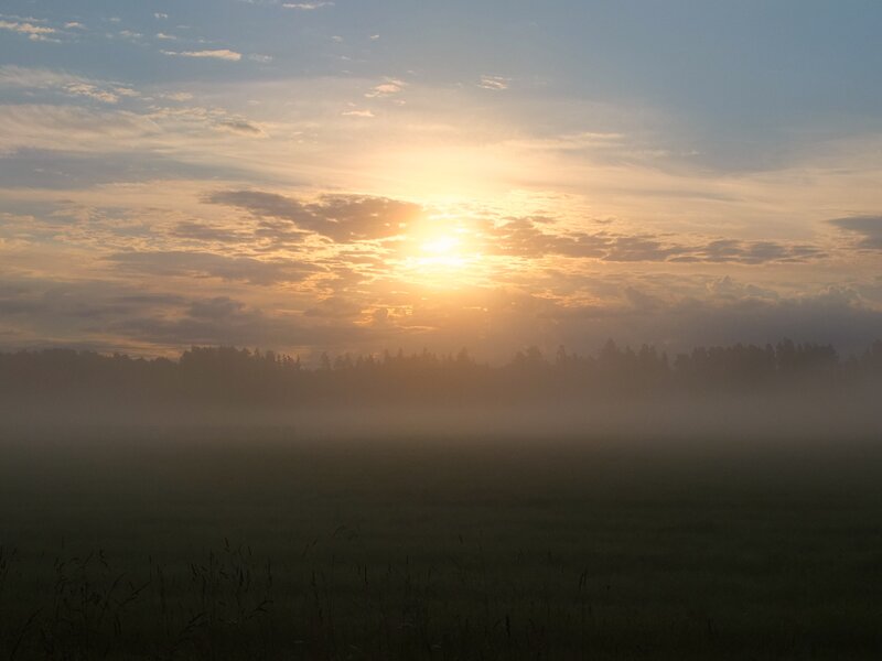 Sunrise over Misty Field — Yellow, Serene, Morning, Photograph