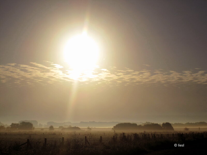 Sunrise over Misty Field — Yellow, Serene, Morning
