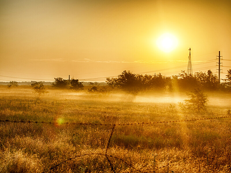 Sunrise over Misty Field — Yellow, Serene, Photograph, Fog