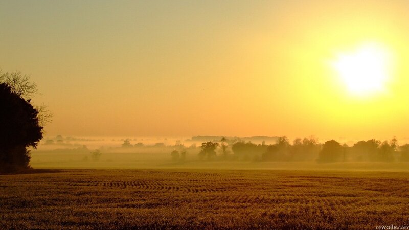 Sunrise over Misty Field — Yellow, Serene, Photograph, Trees, Sun, Orange