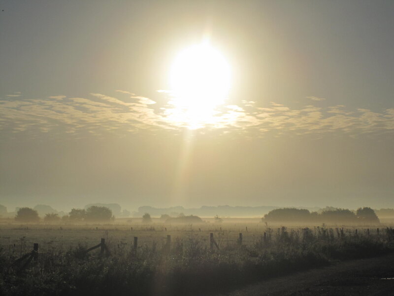 Sunrise over Misty Field — Yellow, Serene