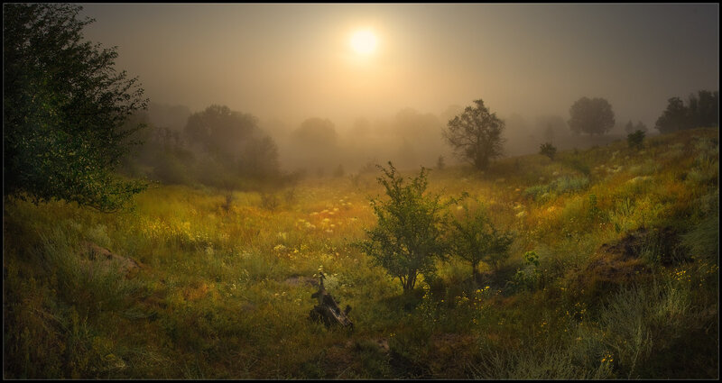 Sunrise over Misty Field — Yellow