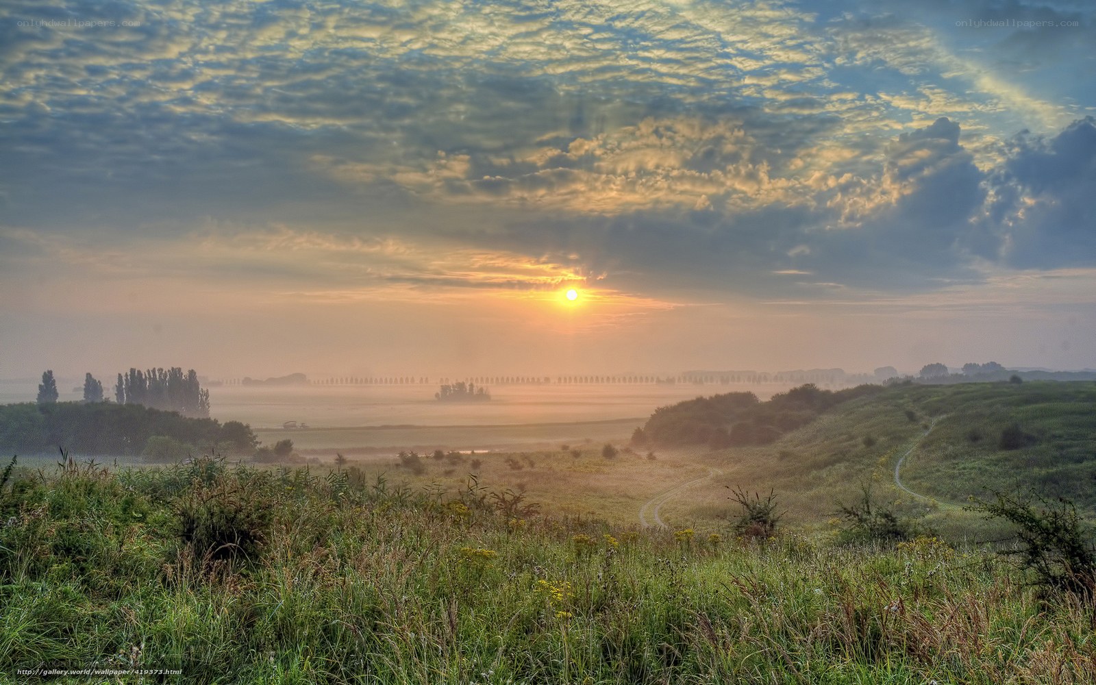 Sunrise over misty fields