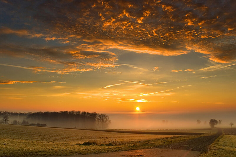 Sunrise over misty fields