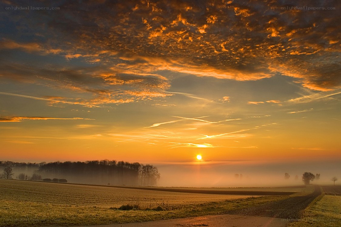 Sunrise over misty fields